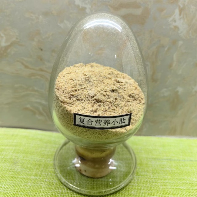 สารประกอบ พีปติดสมุนไพร สารเสริมอาหาร โหลดในน้ํา 0