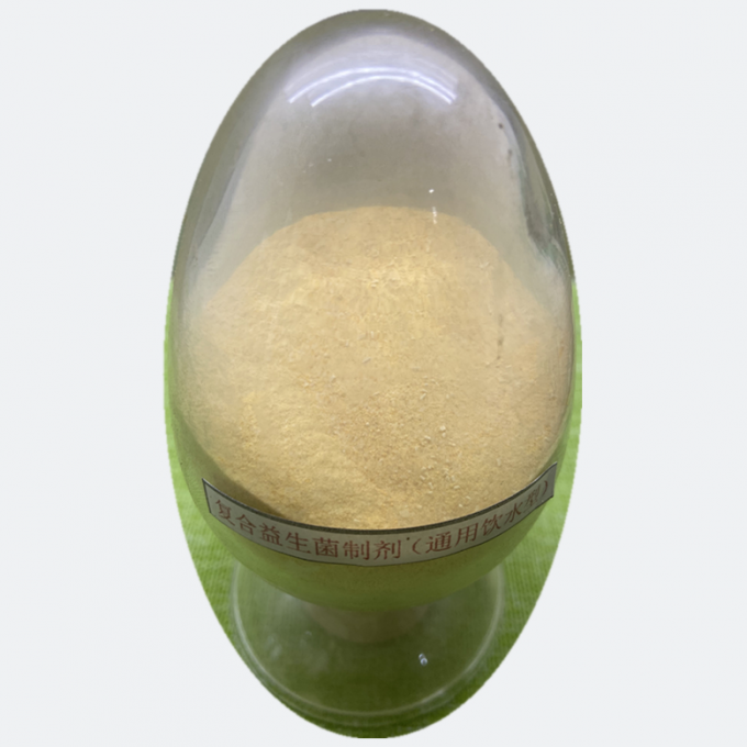 Bacillus Subtilis โปรไบโอติก สารเสริมอาหารไก่ 0