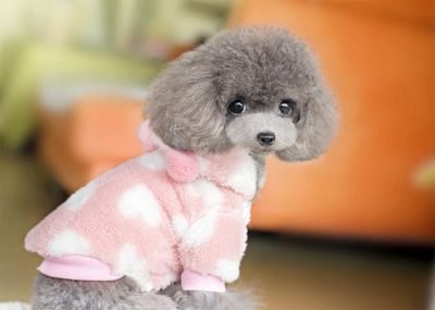 อาหารเสริมวิตามินรวมชนิดเม็ดสำหรับแมวและสุนัข เสริมสร้างภูมิคุ้มกันตามธรรมชาติและบรรเทาอาการแพ้สำหรับสุนัข 2