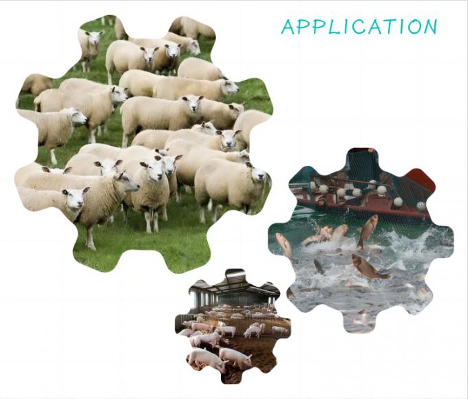 สารเสริมอาหารนาโนซีลีเนียมยีสต์ 2000 มก./กก. สำหรับปศุสัตว์และสัตว์ปีก 1