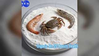 เพิ่มสารเติมแต่งอาหารสัตว์อินทรีย์ Mn 20