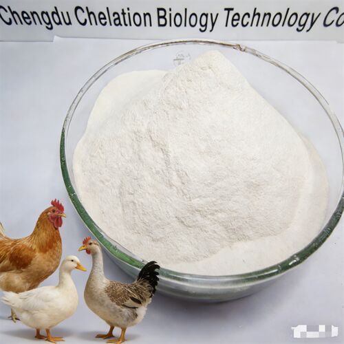 Latest company news about โปรตีนคีเลทธาตุเหล็กออร์แกนิค 20% | สารเติมแต่งอาหารสัตว์ปีกประสิทธิภาพสูง